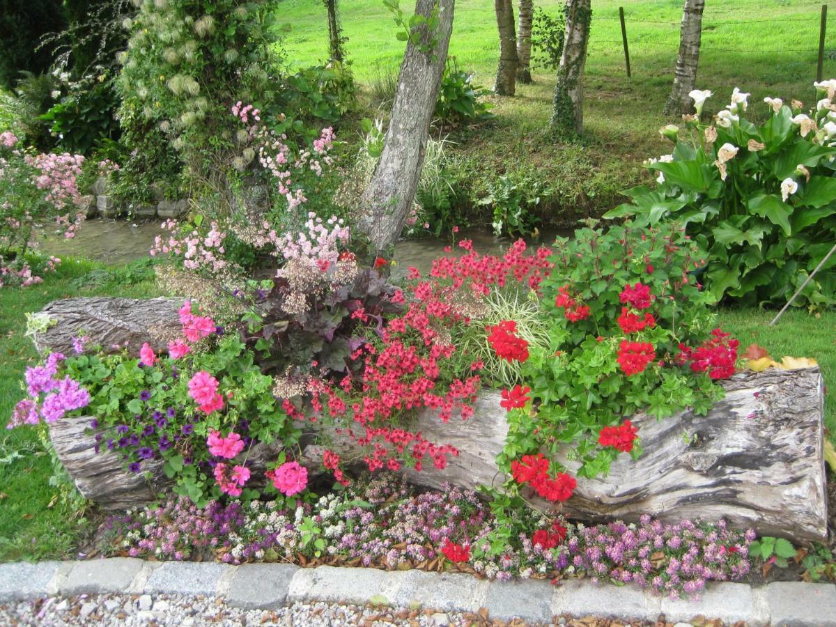 Bed and Breakfast Retour Aux Sources Bainghen Екстер'єр фото